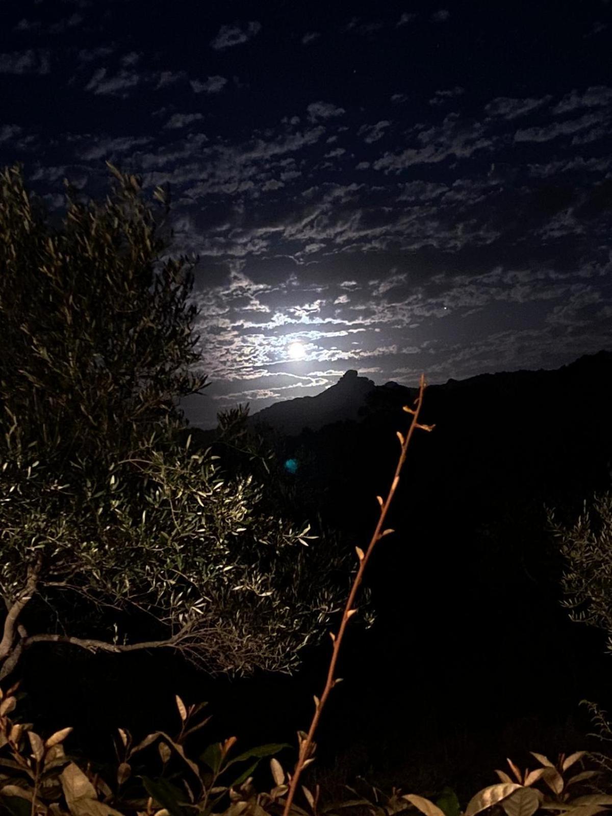 Villa Rosa In Surrau Arzachena Εξωτερικό φωτογραφία